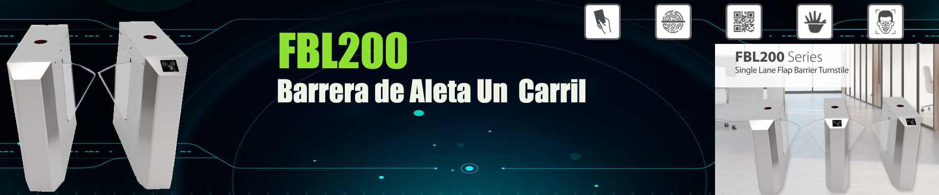 Características