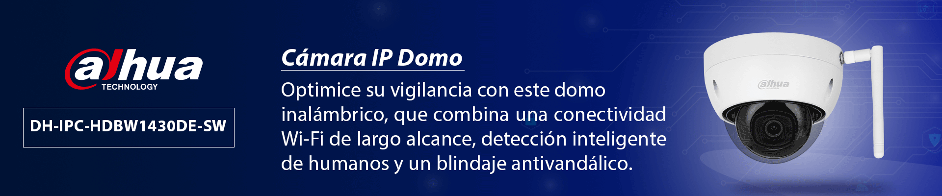 camara IP