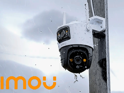 Características Principales