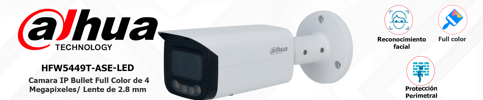 Camara IP